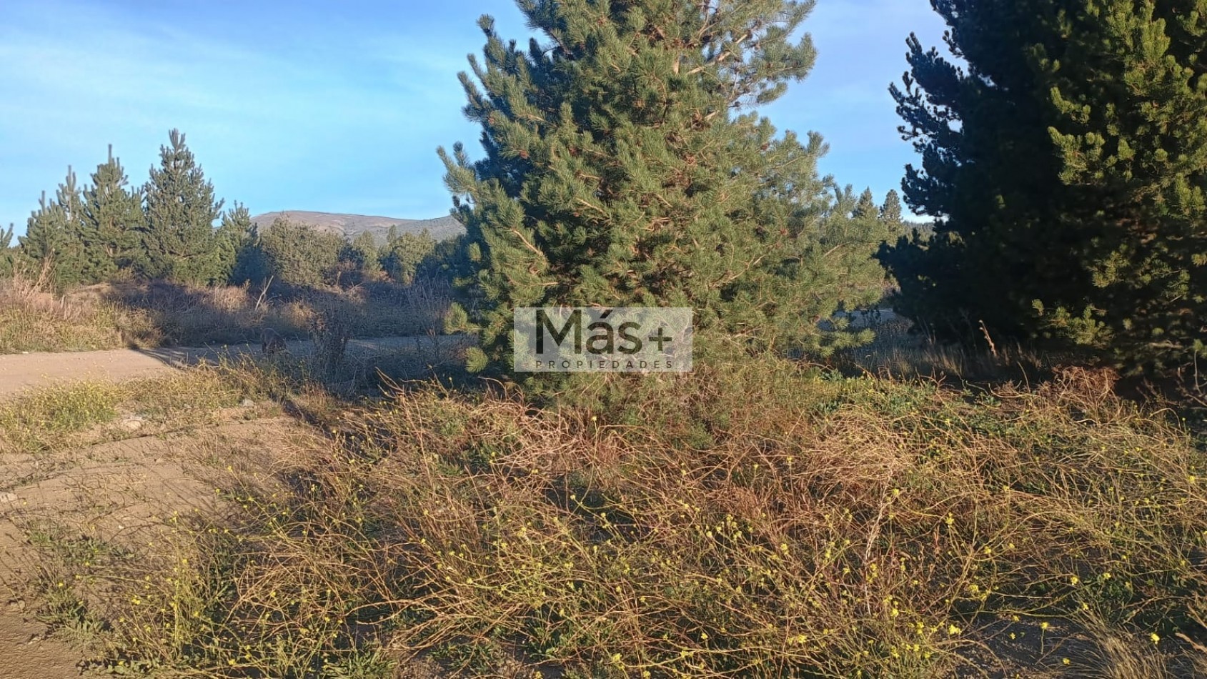 Venta lote en Las Victorias